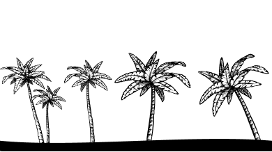 SMCOCONUTSBOTTOMIMG